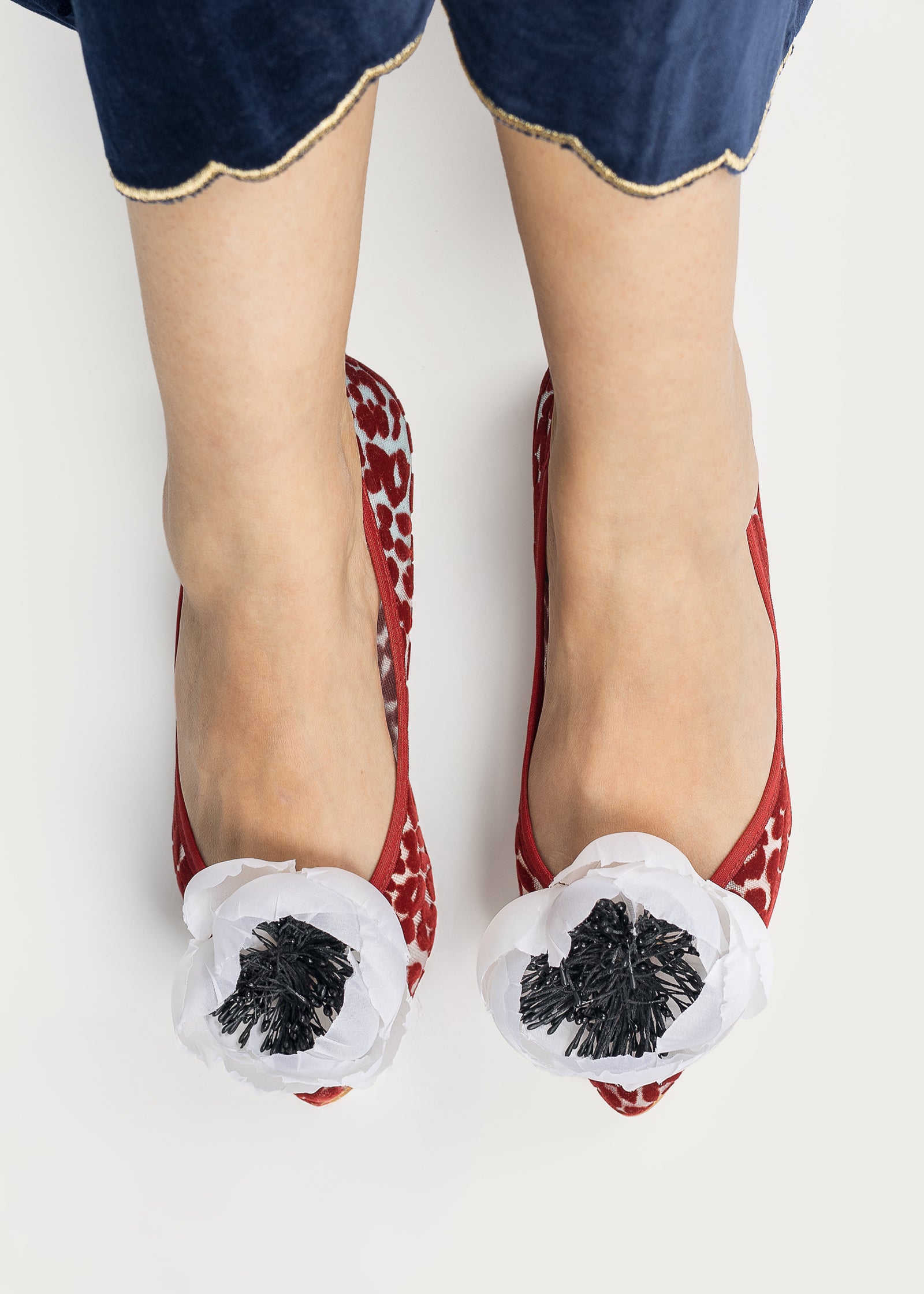 Bailarina Bloom Rubino