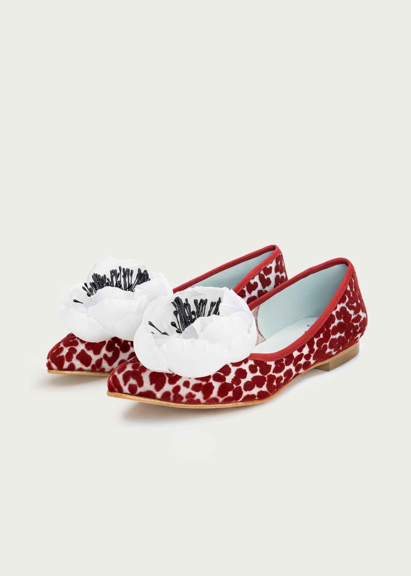 Bailarina Bloom Rubino