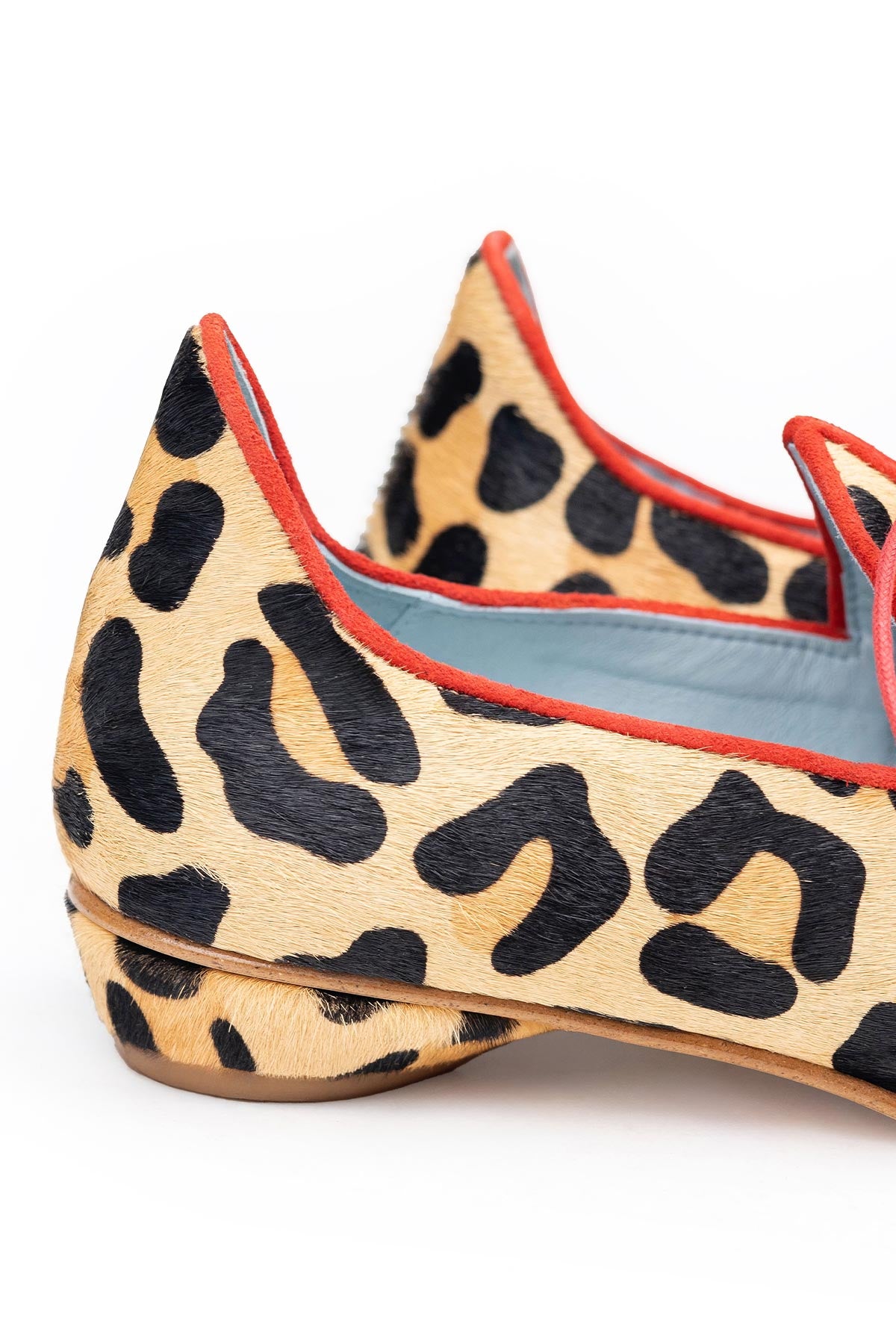 Blucher Florencia Rojo